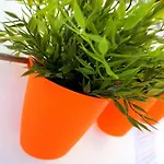 ホステル Little Old Town