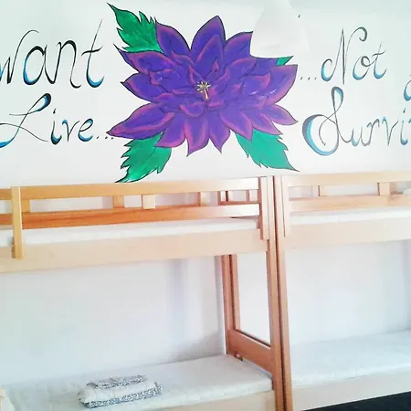 호스텔 Little Old Town