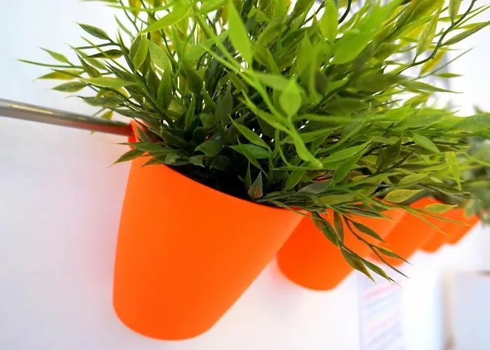 Vandrerhjem Little Old Town